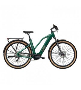 VERN ADVENTURE POWER 8.1 2022