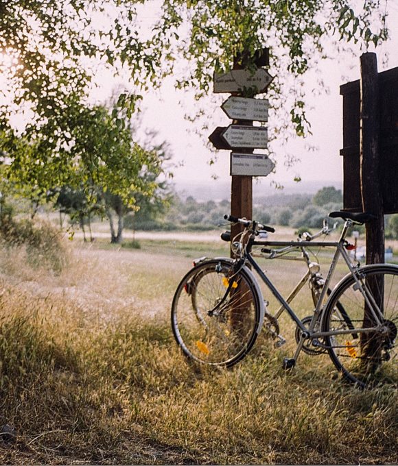 Itinéraire : A la découverte du bois de Vincennes.