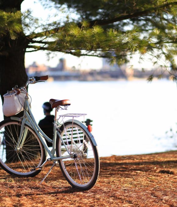 Parcours sur la Loire à Vélo : d’Orléans à Tours