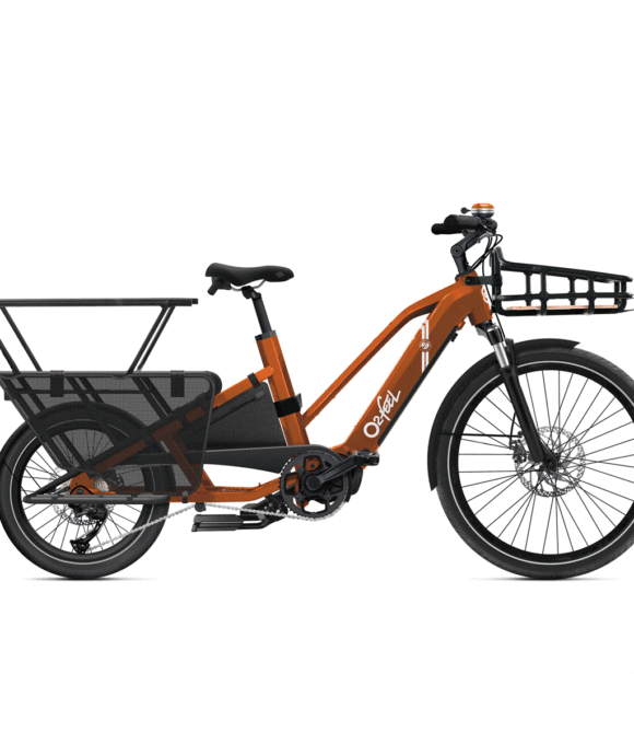 EQUO CARGO EDITION ROLAND-GARROS